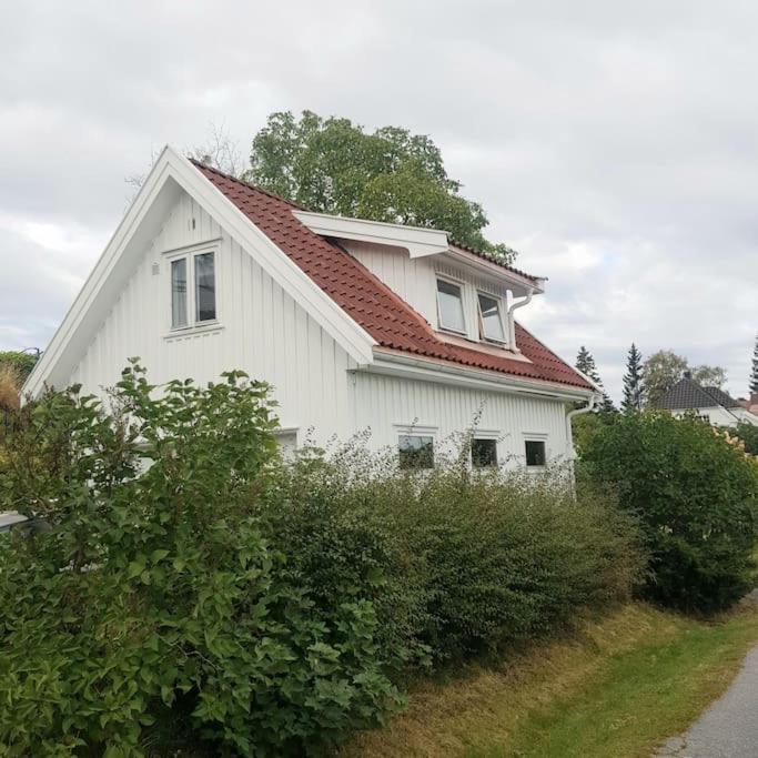 Lys Og Lettstelt Leilighet Med Utsikt Over Byen Apartment Санефьор Екстериор снимка
